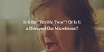 Is It the “Terrible Twos”? Or Is It a Disrupted Gut Microbiome?