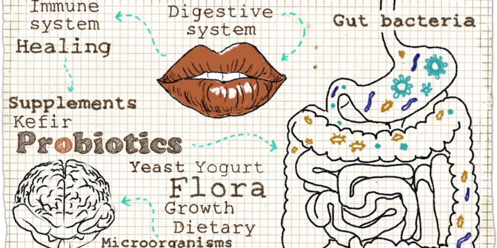 How Gut Flora can Impact Children’s Behaviour