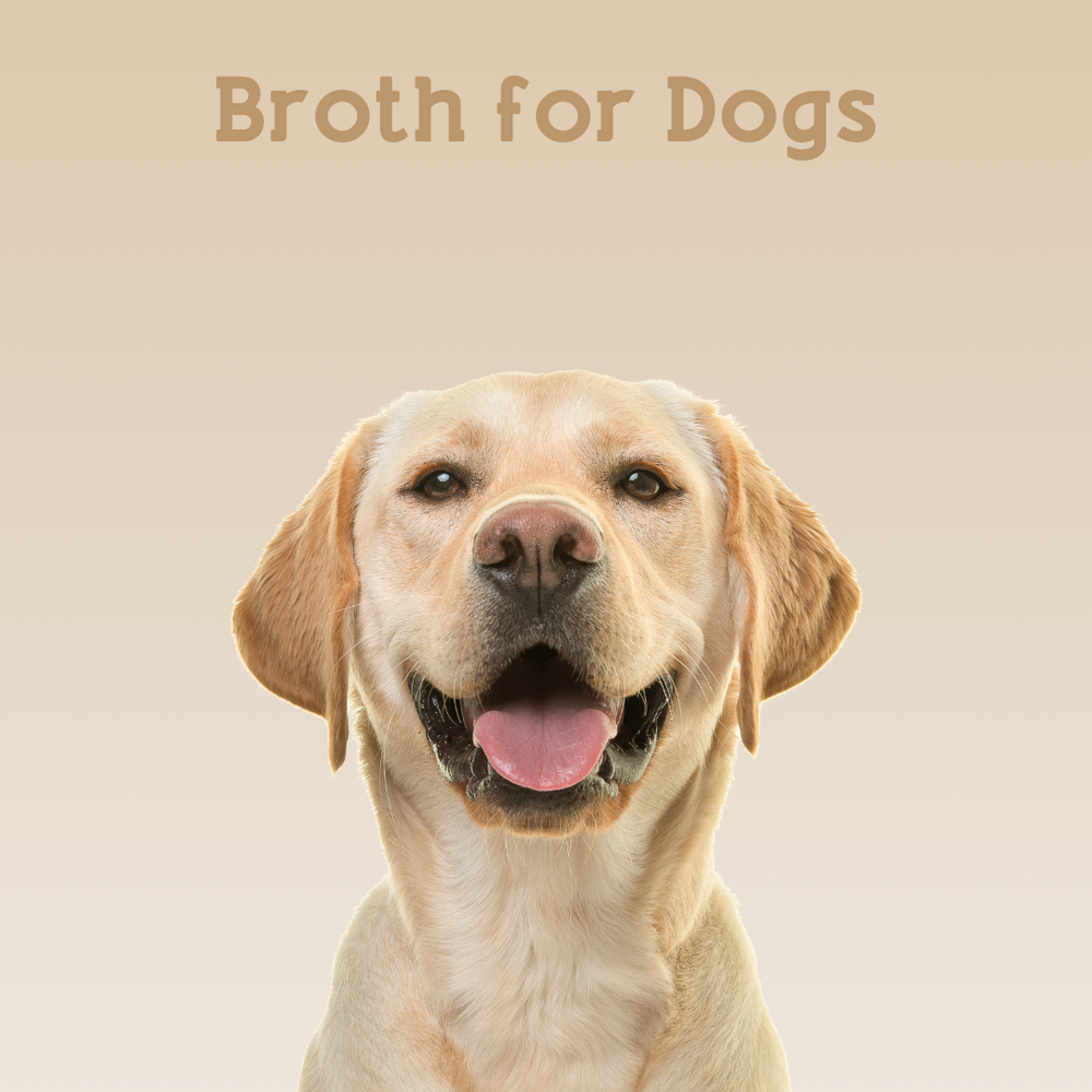 Organic Bone Broth for Dogs