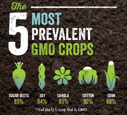 Weighing the Pros and Cons of GMO