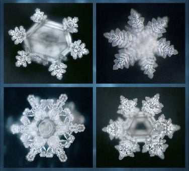 Emoto and the study of water