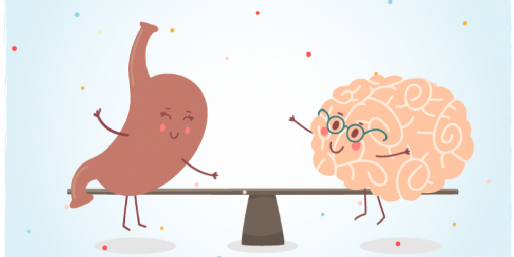 The Gut Brain Connection