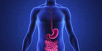How to Tell That Your Gut Bacteria are Out of Whack? Here Are 7 Signs to Watch For & How to Fix It
