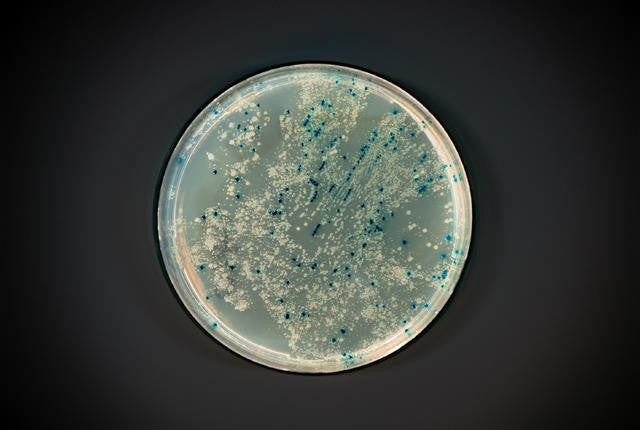 10 Mysteries of the Human Microbiome Revealed