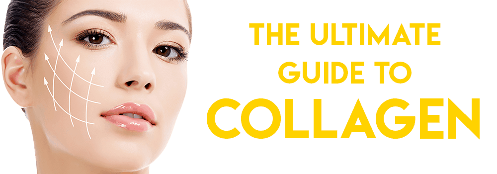 The Ultimate Guide to Collagen