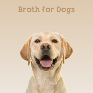 
                  
                    Bone Broth for Dogs (organic)
                  
                